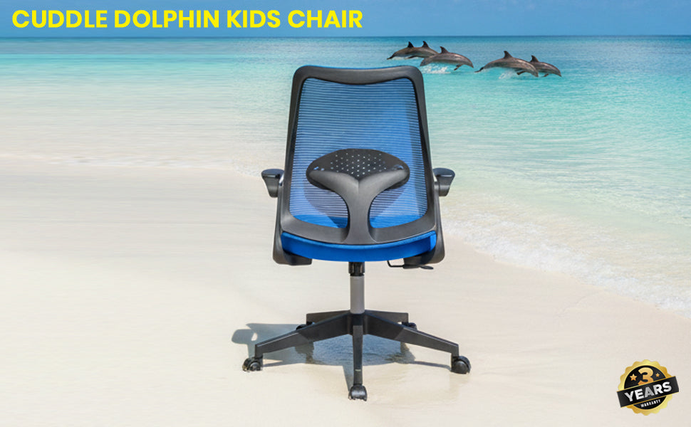 Cuddle Dolphin Kids Chair