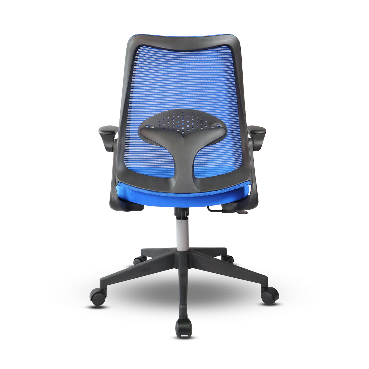 Cuddle Dolphin Kids Chair