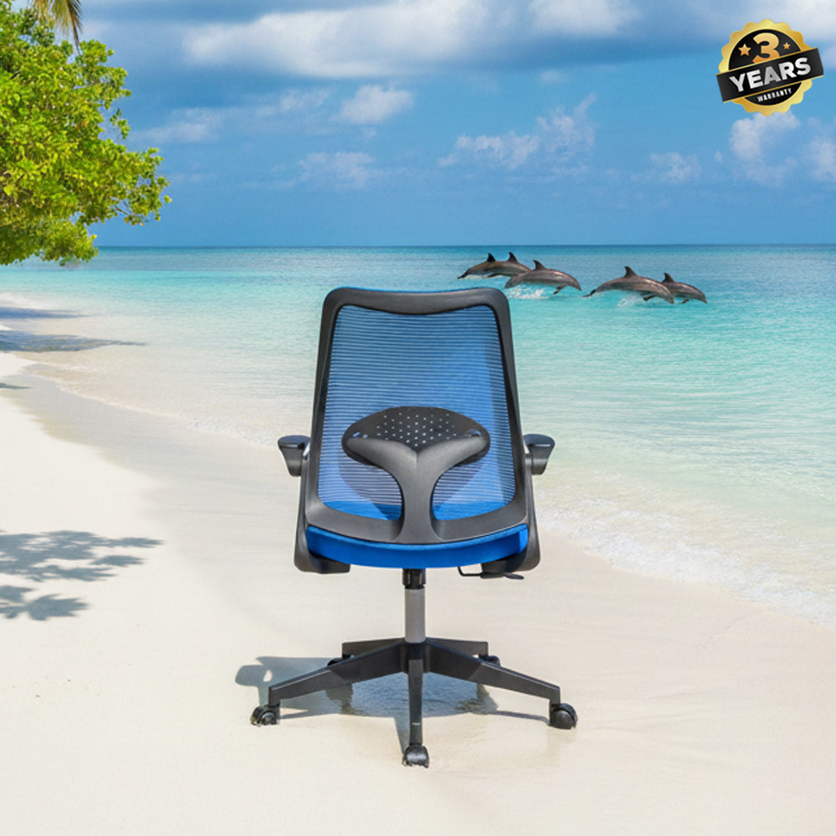 Cuddle Dolphin Kids Chair