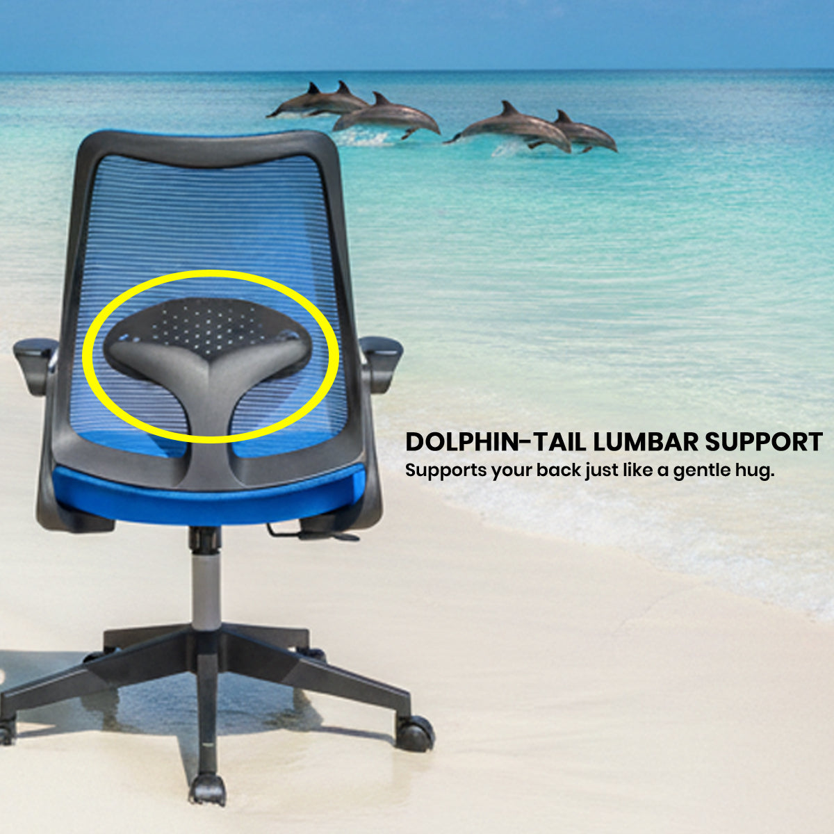 Cuddle Dolphin Kids Chair