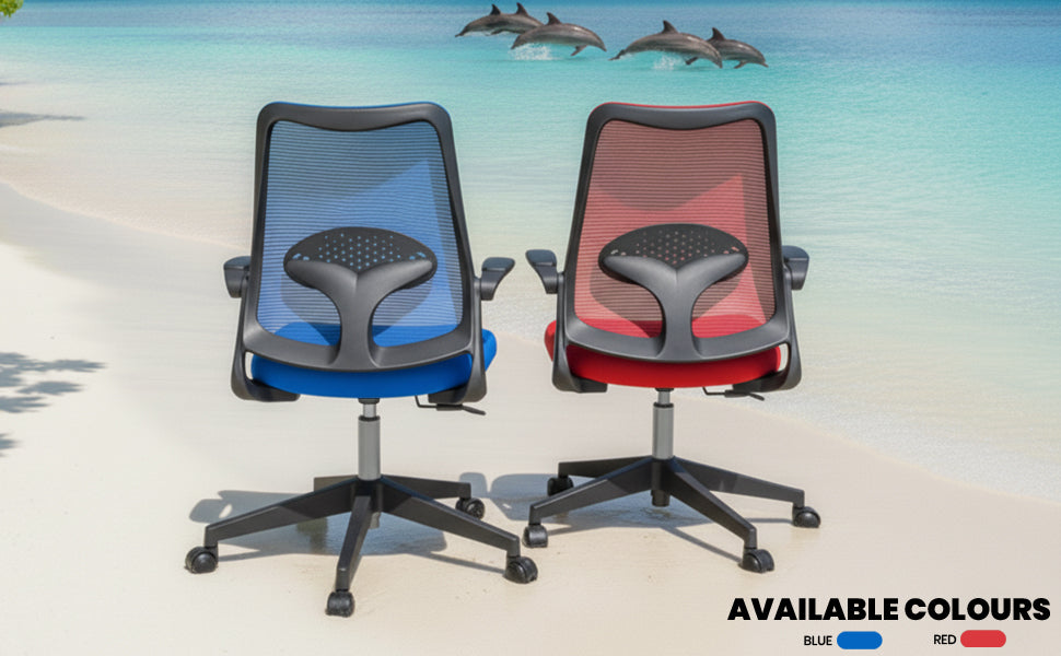 Cuddle Dolphin Kids Chair