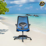 Cuddle Dolphin Kids Chair