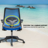 Cuddle Dolphin Kids Chair