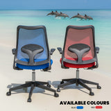 Cuddle Dolphin Kids Chair