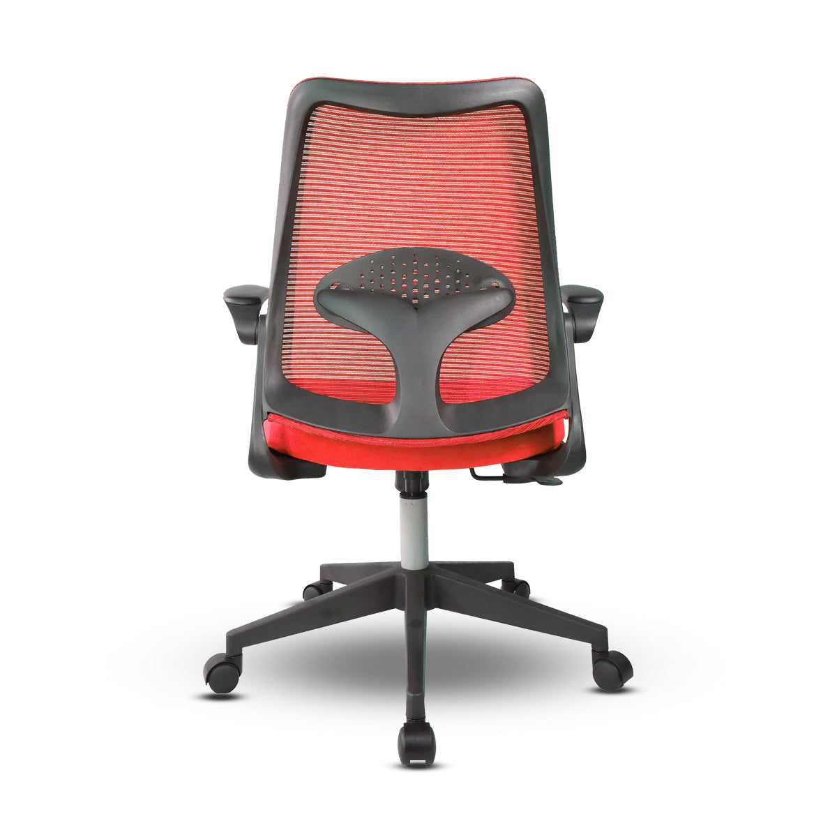 Cuddle Dolphin Kids Chair