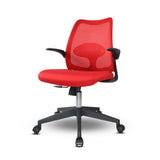 Cuddle Dolphin Kids Chair