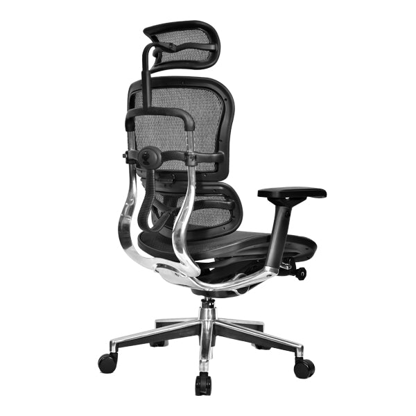 ERGO HUMAN HIGH BACK CHAIR Chairs - makemychairs