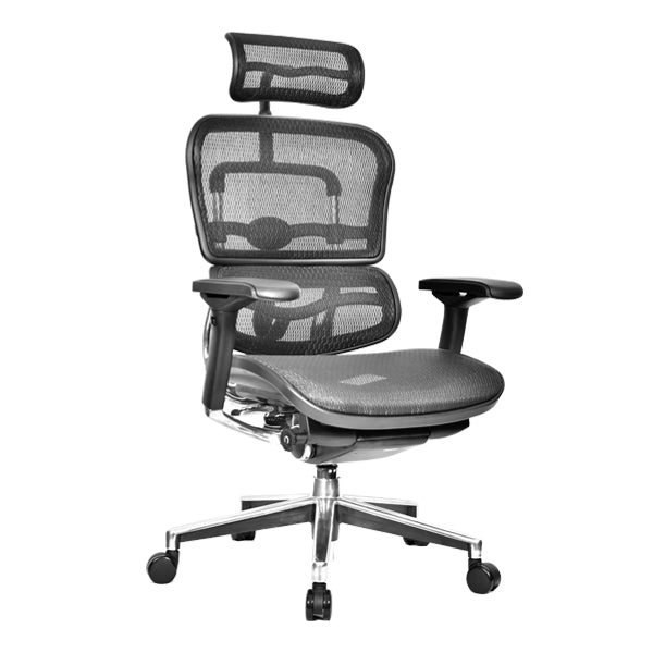 ERGO HUMAN HIGH BACK CHAIR Chairs - makemychairs